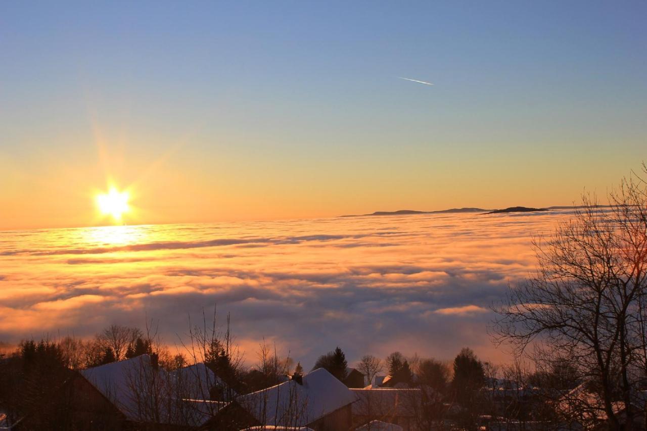 Pension Draxlerhof Neuschönau Екстериор снимка