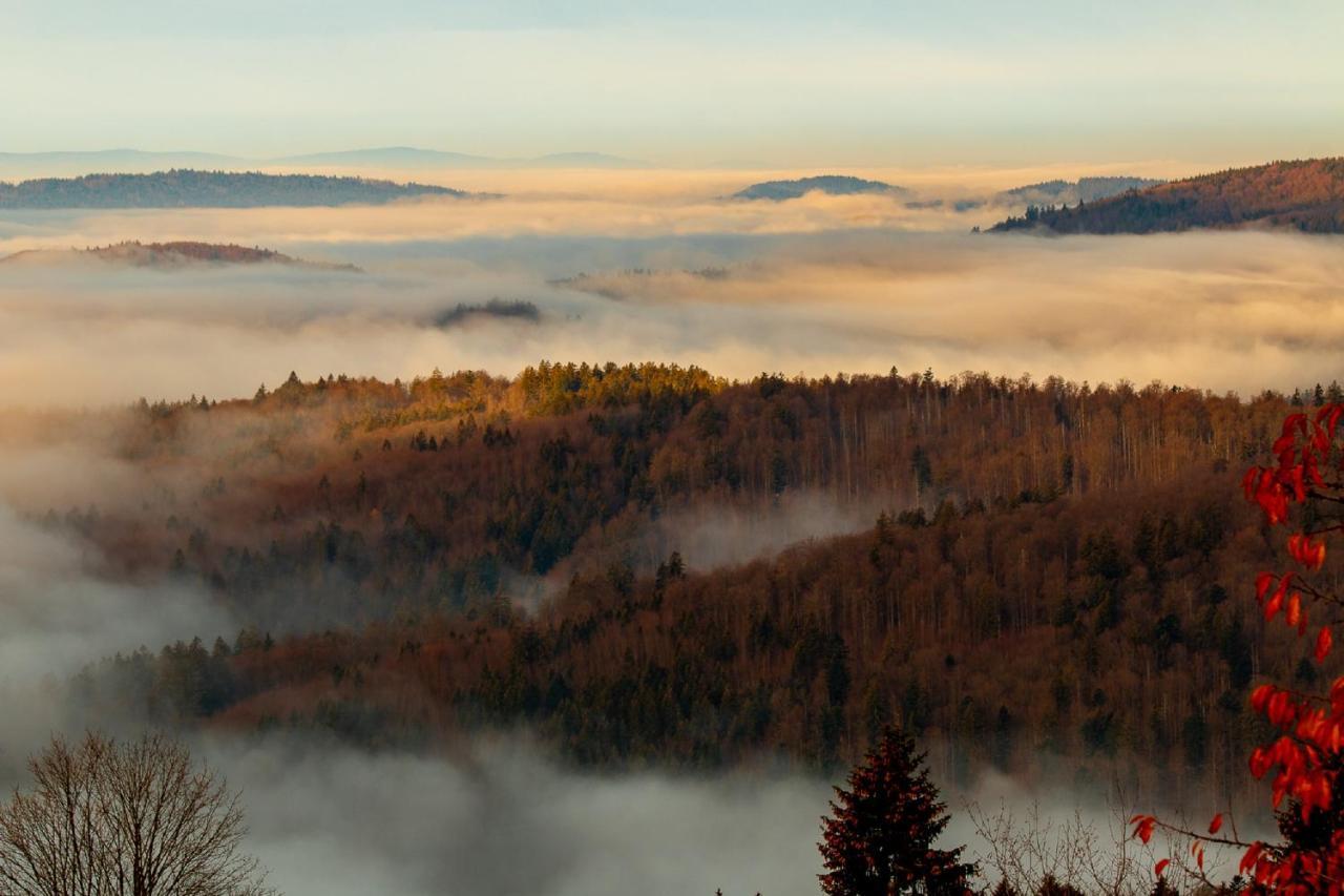 Pension Draxlerhof Neuschönau Екстериор снимка
