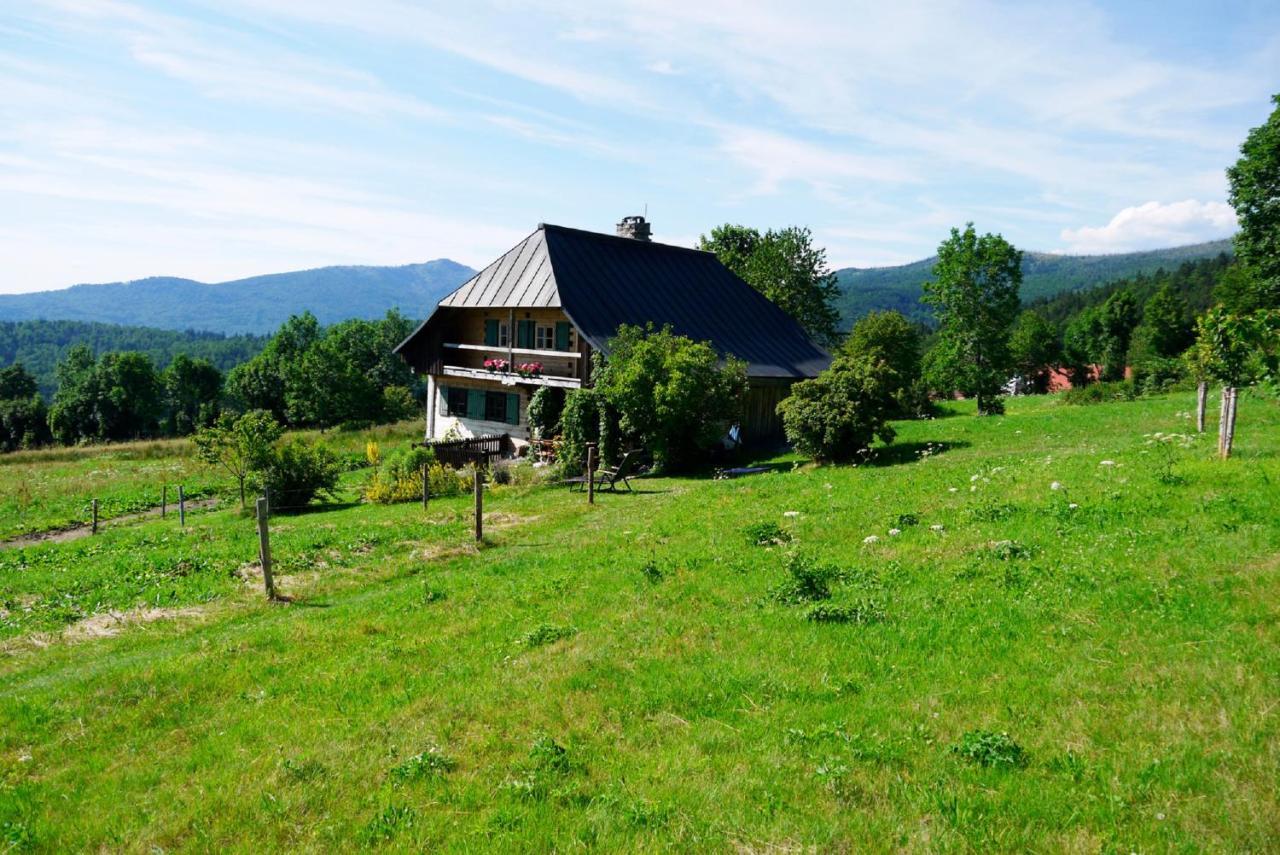 Pension Draxlerhof Neuschönau Екстериор снимка