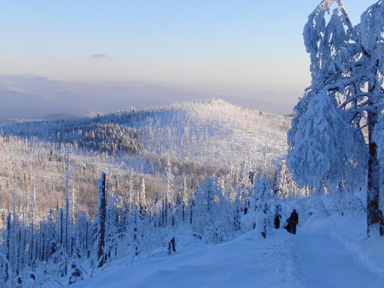 Pension Draxlerhof Neuschönau Екстериор снимка